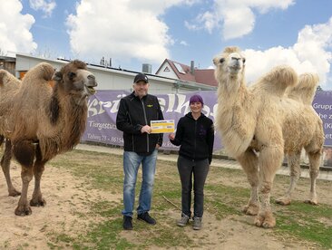 Humbaur Geschäftsführer übergibt Spendenschek an Krümelhof Augsburg, rechts und links stehen Trampeltiere | © Humbaur GmbH