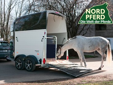 Weißes Pferd vor Humbaur Pferdeanhänger Pegasus mit Verweis auf die Messe Nordpferd 2023. | © Humbaur GmbH