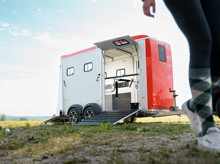 Braunes Pferd steht im Pferdeanhänger Humbaur Notos. | © Humbaur GmbH